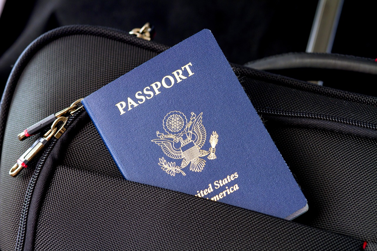 Assistance visa